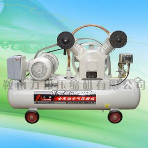 ȫo(w)Ϳ՚≺sC(j)  oil free air compressor 
P(gun)I: