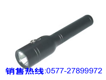 TZ1010̑B(ti) TZ1010 TZ1000 
P(gun)I:2010-05-08