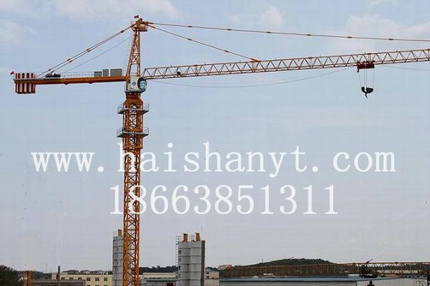 QTZ315QTZ315Tower crane 
PI: