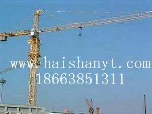 QTZ80QTZ80Tower crane 
PI: