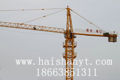 QTZ40QTZ40Tower crane 
PI: