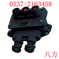 BZA10-123VøͿưŤ 
PI:2011-08-15
