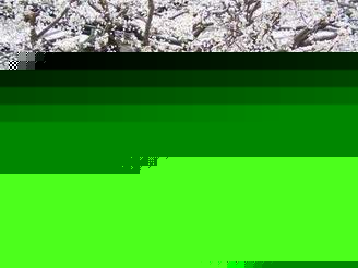 B@ һwB@OӋ B@ʩr B@нӹ˾ 
PI: