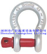 ʽt˨жSCREW PIN ANCHOR SHACKLES 
PI: