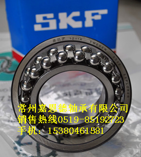 SKF{SгN 
PI: