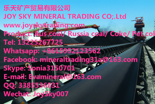 Surface Russia Coal supplier/Russia coal trading 
PI: