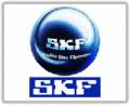 SKF {ĝLS= 
PI:2010-03-19